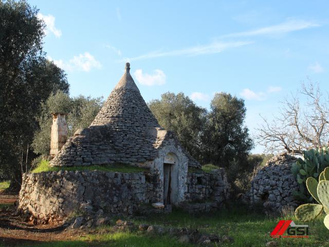 Case - Francavilla fontana, trullo originale con ampio terreno