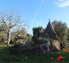 Case - Francavilla fontana, trullo originale con ampio terreno