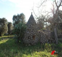 Case - Francavilla fontana, trullo originale con ampio terreno