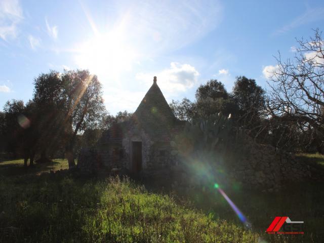 Case - Francavilla fontana, trullo originale con ampio terreno