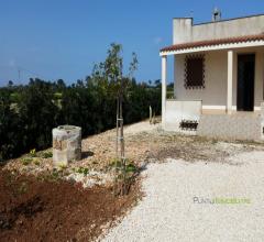 Case - Villa con taverna e ampio terreno in località torre guaceto