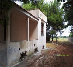 Case - Villa con taverna e ampio terreno in località torre guaceto