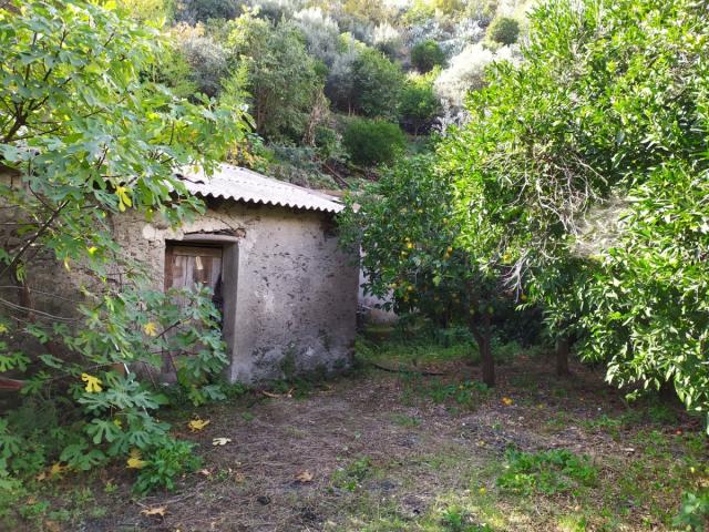 Terreno agricolo con rudere