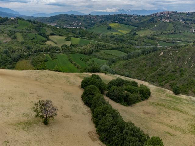 Appartamenti in Vendita - Terreno agricolo in vendita a bucchianico strada massangioli