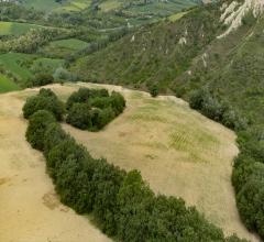 Appartamenti in Vendita - Terreno agricolo in vendita a bucchianico strada massangioli