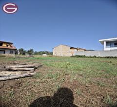 Appartamenti in Vendita - Terreno edificabile in vendita a cittanova zona semicentrale