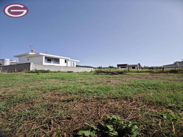 Appartamenti in Vendita - Terreno edificabile in vendita a cittanova zona semicentrale