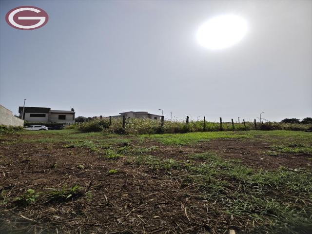 Appartamenti in Vendita - Terreno edificabile in vendita a cittanova zona semicentrale
