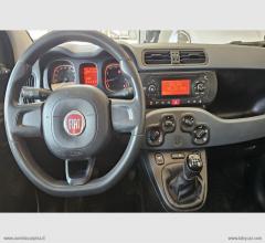 Auto - Fiat panda 1.2 lounge