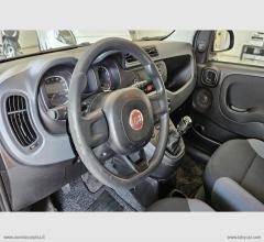 Auto - Fiat panda 1.2 lounge