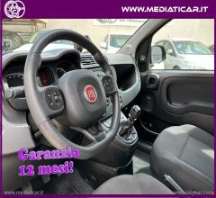 Auto - Fiat panda 1.0 firefly s&s hybrid city cross
