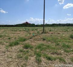 Appartamenti in Vendita - Terreno agricolo in vendita a cerignola pavoni