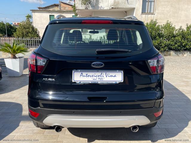 Auto - Ford kuga 1.5 tdci 120 cv s&s 2wd business