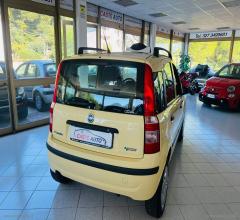 Auto - Fiat panda 1.2 dynamic natural power