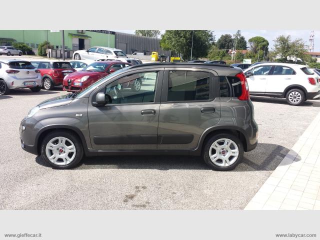 Auto - Fiat panda 1.0 firefly s&s hybrid