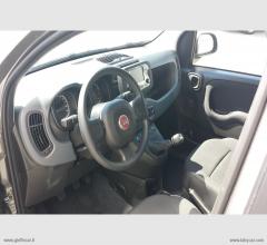 Auto - Fiat panda 1.0 firefly s&s hybrid