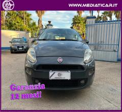Auto - Fiat punto 1.3 mjt ii 75 cv 5p. street