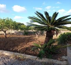 Appartamenti in Vendita - Casa indipendente in vendita a misiliscemi rilievo