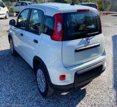 Auto - Fiat panda my23 1.2 easypowergpl