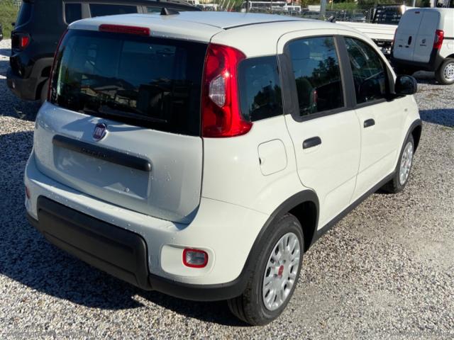 Auto - Fiat panda my23 1.2 easypowergpl