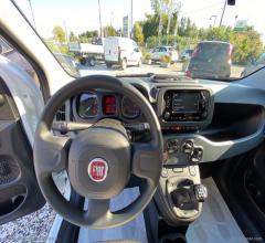 Auto - Fiat panda my23 1.2 easypowergpl