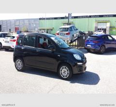 Auto - Fiat panda 1.2 lounge