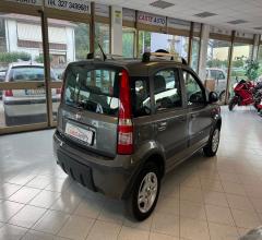 Auto - Fiat panda 1.2 climbing natural power