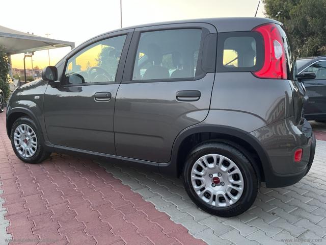 Auto - Fiat panda 1.0 firefly s&s hybrid