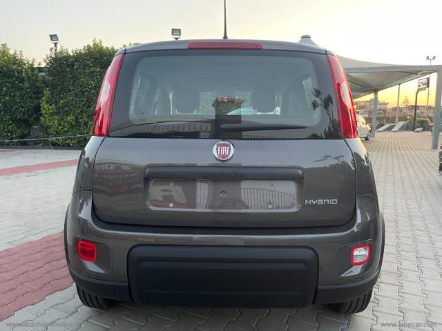Auto - Fiat panda 1.0 firefly s&s hybrid