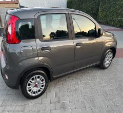 Auto - Fiat panda 1.0 firefly s&s hybrid