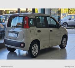 Auto - Fiat panda 1.2 lounge
