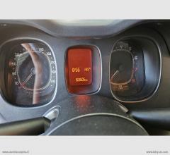 Auto - Fiat panda 1.2 lounge