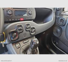Auto - Fiat panda 1.2 lounge