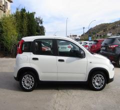 Auto - Fiat panda 1.0 firefly s&s hybrid