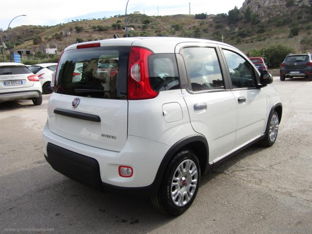 Auto - Fiat panda 1.0 firefly s&s hybrid
