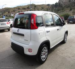 Auto - Fiat panda 1.0 firefly s&s hybrid