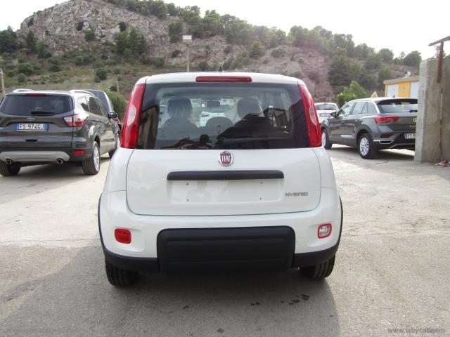 Auto - Fiat panda 1.0 firefly s&s hybrid