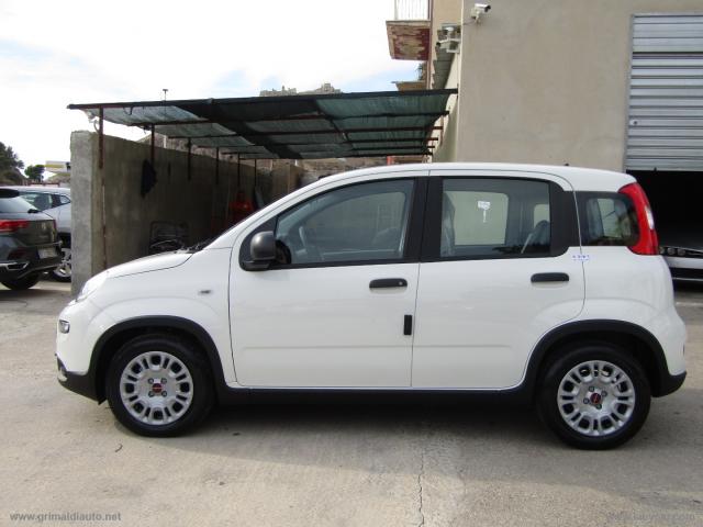 Auto - Fiat panda 1.0 firefly s&s hybrid
