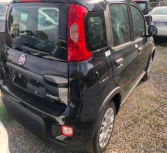 Auto - Fiat panda 1.0 firefly s&s hybrid