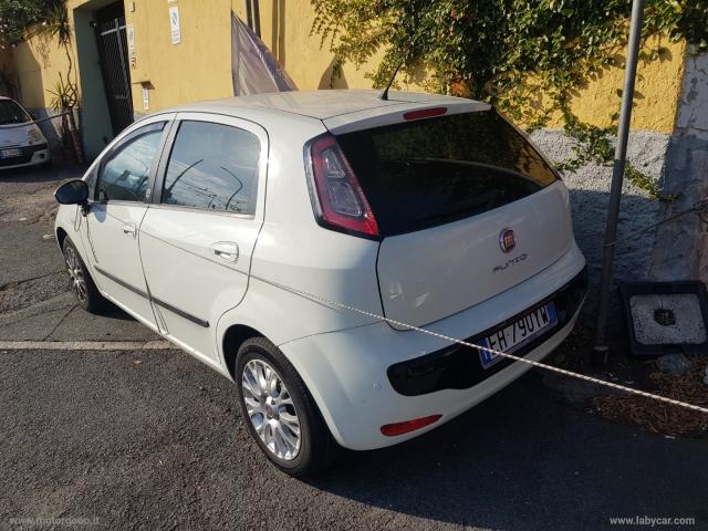 Auto - Fiat punto evo 1.3 mjt 75 cv 5p. s&s 150Â°