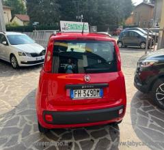 Auto - Fiat panda 1.2 easypower easy