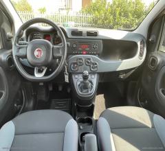 Auto - Fiat panda 1.2 easypower easy
