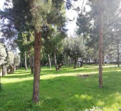 Appartamenti in Vendita - Appartamento in vendita a modugno zona parco
