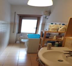 Appartamenti in Vendita - Camera in affitto a chieti scalo