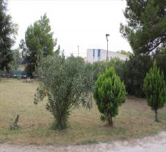 Appartamenti in Vendita - Terreno edificabile in vendita a pescara colli