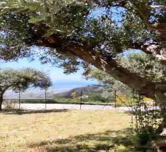 Appartamenti in Vendita - Terreno agricolo in vendita a erice erice vetta