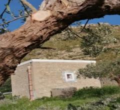Appartamenti in Vendita - Terreno agricolo in vendita a erice erice vetta