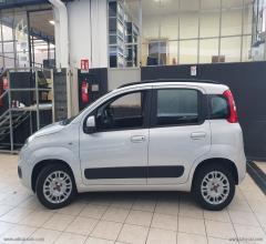 Auto - Fiat panda 1.2 pop