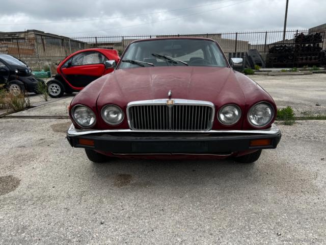 Auto - Jaguar xj12