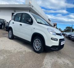 Auto - Fiat panda 1.0 firefly s&s hybrid